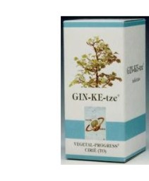 GIN-KE-TZE BIO 80TAV 600MG