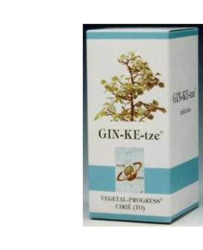 GIN-KE-TZE BIO 80TAV 600MG GIN-KE-TZE BIO 80TAV 600MG