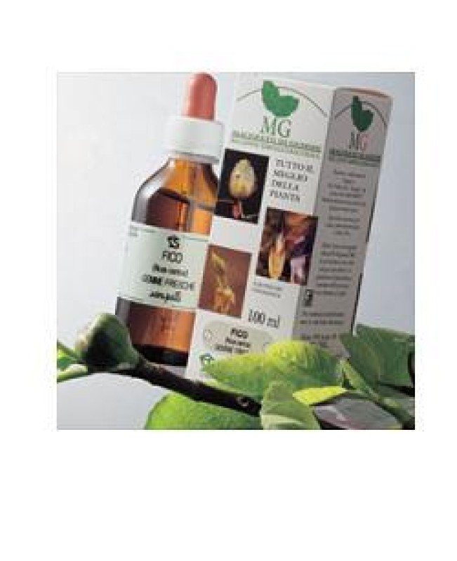 OLIVO MG 100ML