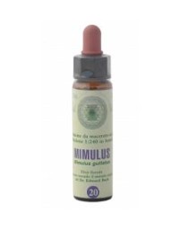 MIMULUS 20 FB 10ML