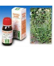 SI ACHILLEA MIL (51) 50ML