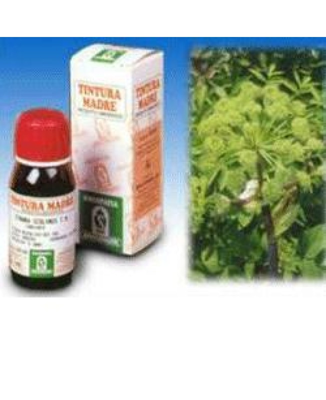 SI ANGELICA (55) 50ML (ES) SI ANGELICA (55) 50ML (ES)