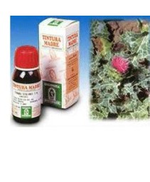 SI CARDO MARIANO (6) 50ML