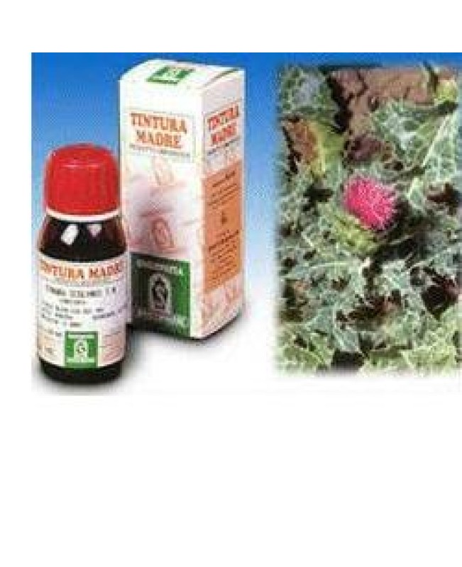 SI CARDO MARIANO (6) 50ML SI CARDO MARIANO (6) 50ML