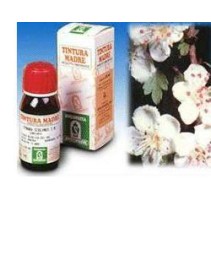 SI BIANCOSPINO (10) 50ML