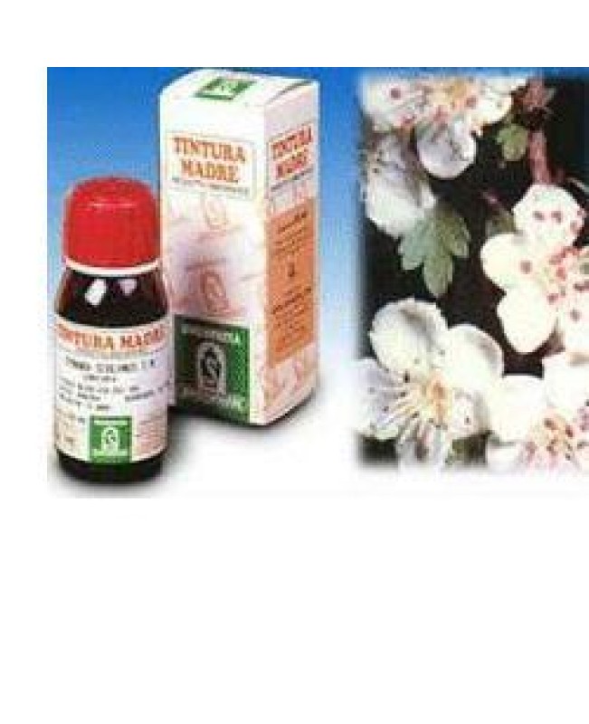 SI BIANCOSPINO (10) 50ML SI BIANCOSPINO (10) 50ML