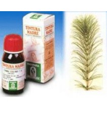 SI EQUISETO (12) 50ML