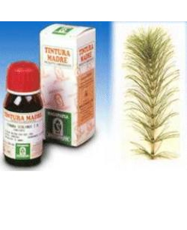 SI EQUISETO (12) 50ML SI EQUISETO (12) 50ML