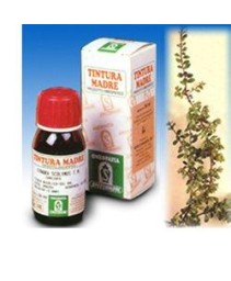 SI UVA URSINA (30) 50ML