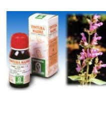 SI SALVIA OFFICINALIS (25) 50ML