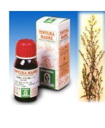 SI VERGA D'ORO (26) 50ML
