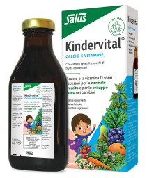 FLORADIX KINDERVITAL 250ML