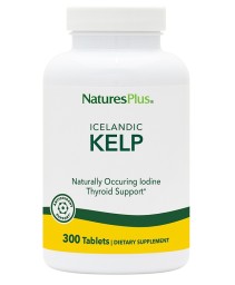 KELP ALGHE MARINE NORVEGESI 300 TAV