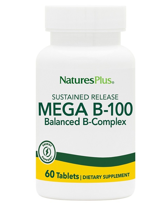 MEGA B100 60TAV MEGA B100 60TAV