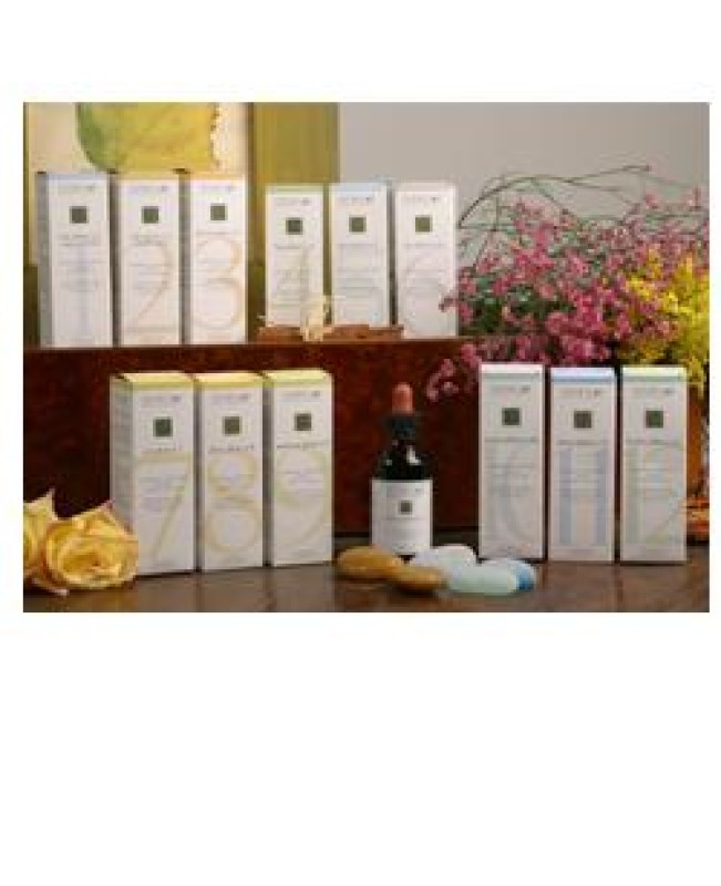 CALMA PLANT ZEFIRUS 100ML N11 CALMA PLANT ZEFIRUS 100ML N11
