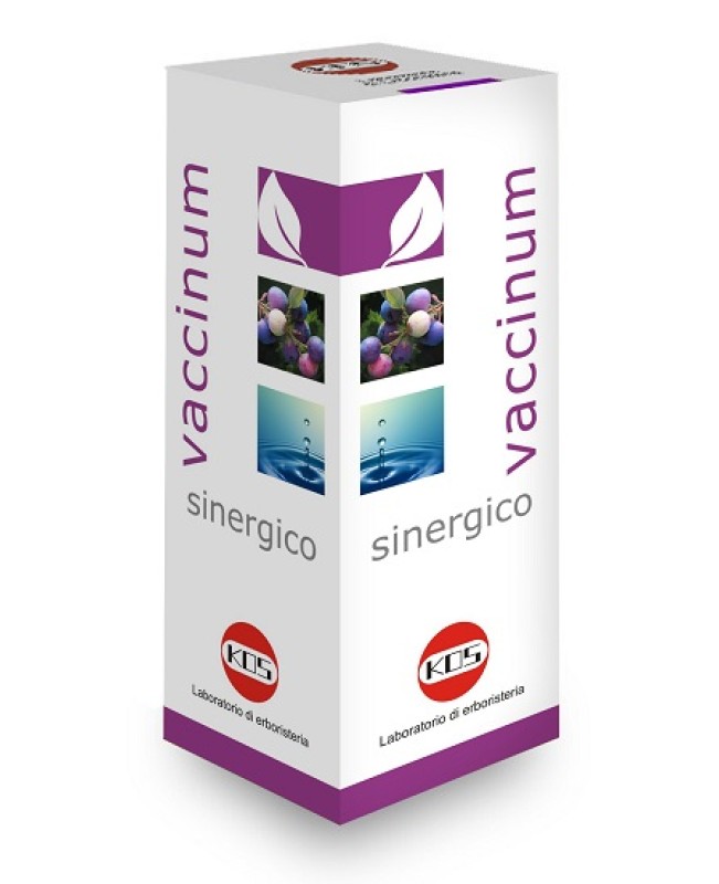 VACCINIUM SINERGICO 100ML VACCINIUM SINERGICO 100ML