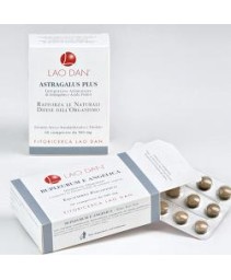 GINSENG E SCHISANDRA 60CPR BLIS