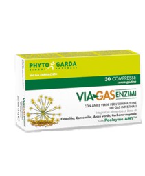 VIAGAS ENZIMI 30CPR
