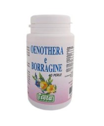 OENOTHERA BORRAGINE 40PRL