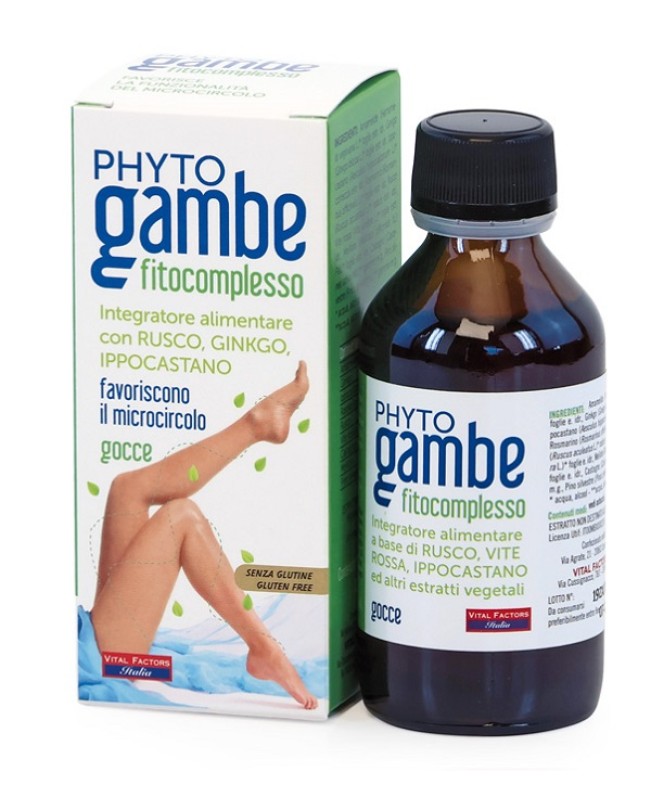 PHYTOGAMBE FITOCOMPLESSO GTT 100ML PHYTOGAMBE FITOCOMPLESSO GTT 100ML