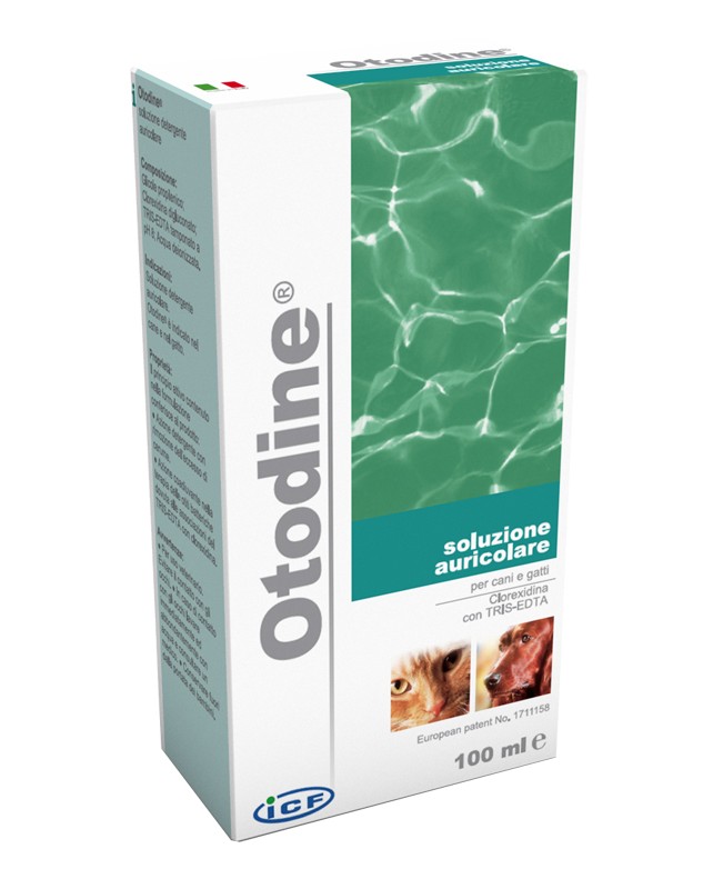 OTODINE DET LIQ 100ML OTODINE DET LIQ 100ML