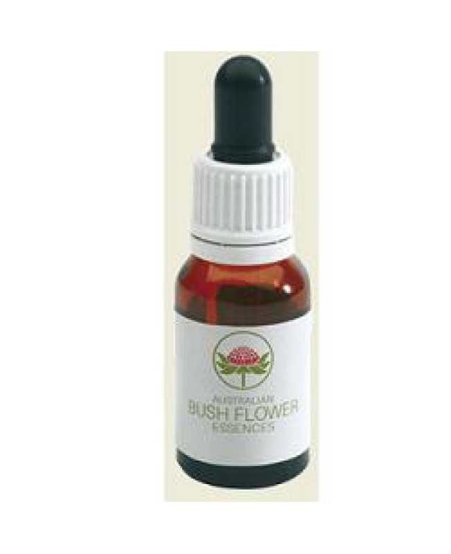 SPINIFEX 15ML SPINIFEX 15ML