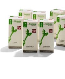 AVENA GD 100ML