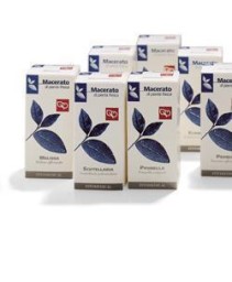 VALERIANA ROSSA MI  50ML