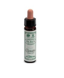 CLEMATIS 10ML AINSWORTHS