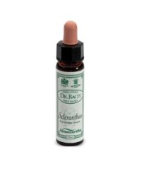 SCLERANTHUS 10ML AINSWORTHS