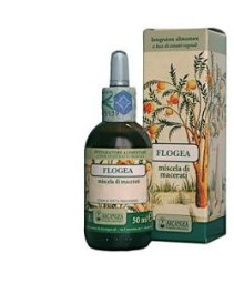 FLOGEA SOL IDROAL 50ML