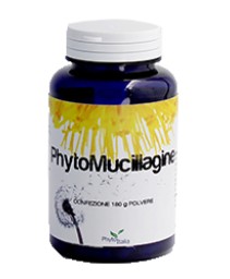 PHYTOMUCILLAGINE POLVERE 180G