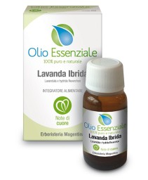 LAVANDA IBRIDA OE 10ML ERM