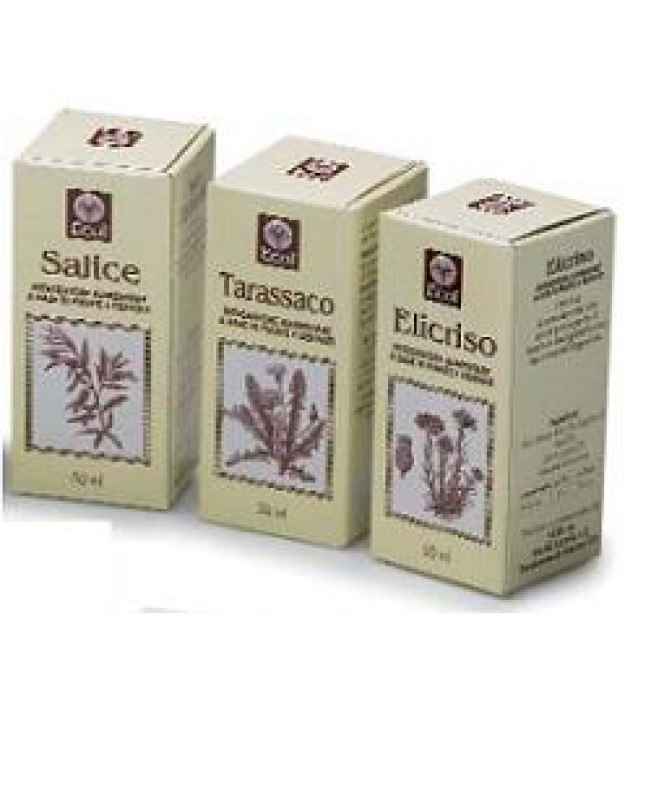 OLIO DI GERME GRANO 100ML 501 OLIO DI GERME GRANO 100ML 501