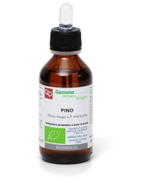 PINO GD 100ML BIO