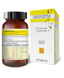 ERGOZYM SCIROPPO 250ML