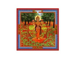 TRIPHAURUM GTT 30ML