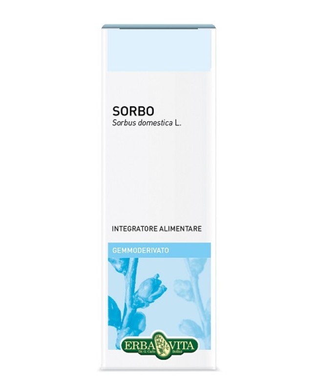 SORBO GD 50ML SORBO GD 50ML