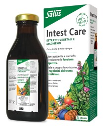 INTEST CARE 250ML