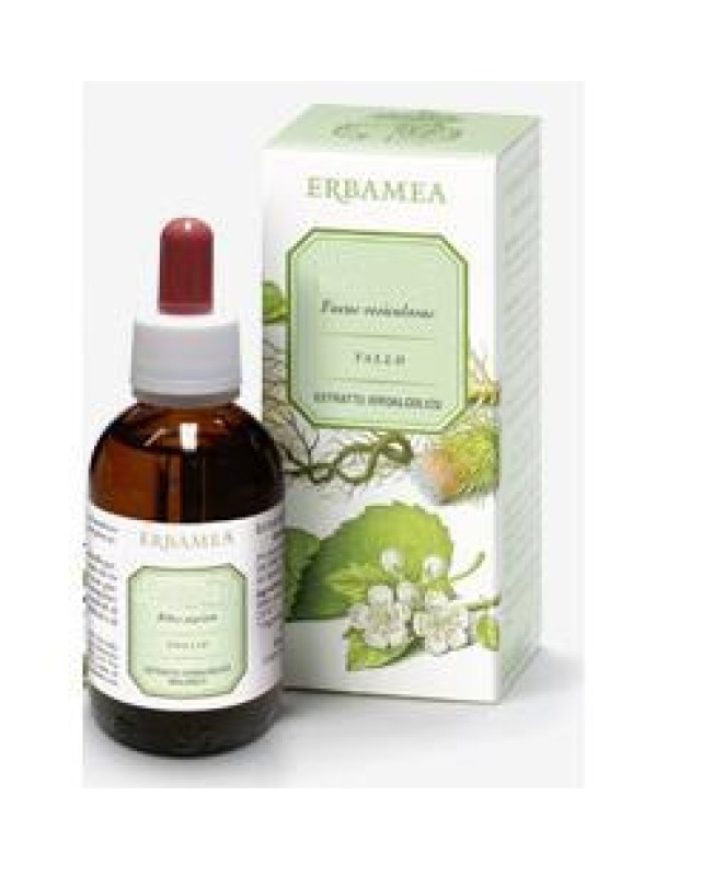 GINKGO BILOBA FOGLIE EI 50ML GINKGO BILOBA FOGLIE EI 50ML