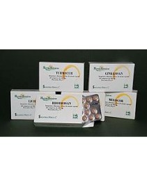 GINKGOSAN ES 60 CPR 400MG NF