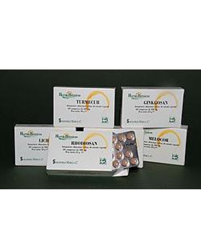 GINKGOSAN ES 60 CPR 400MG NF GINKGOSAN ES 60 CPR 400MG NF
