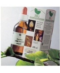 BETULLA SEMI 100ML MG