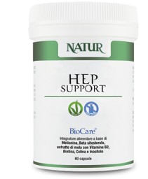 HEP SUPPORT 194*60CPS