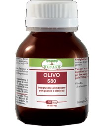 OLIVO 580 60CPS
