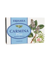 CARMINA PLUS 24CPR 19,2G