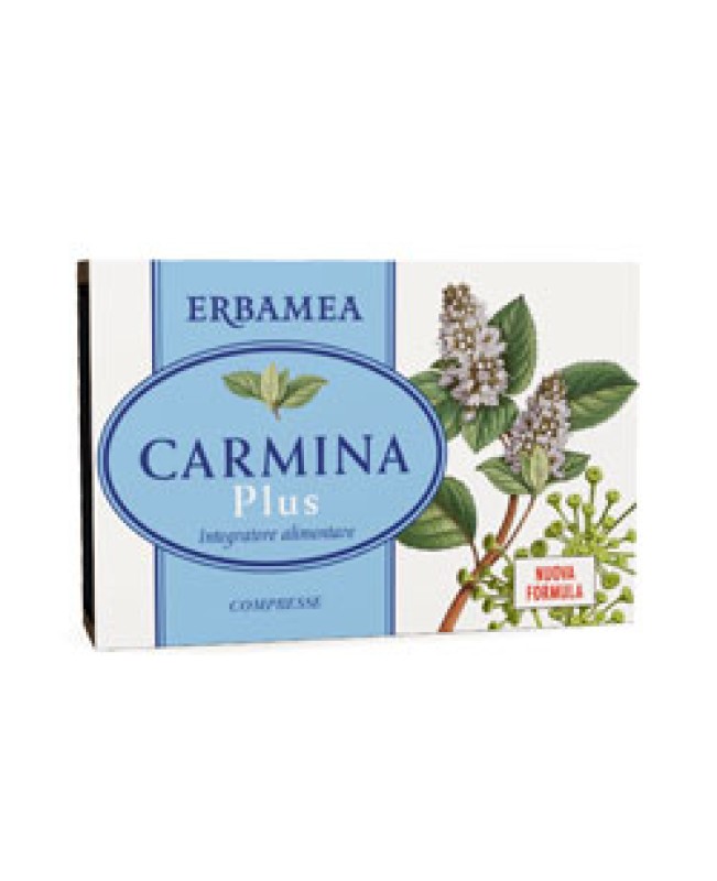 CARMINA PLUS 24CPR 19,2G CARMINA PLUS 24CPR 19,2G