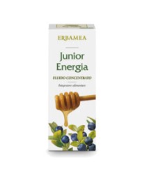 JUNIOR ENERGIA FLUIDO CONC 200ML