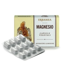 MAGNESIO 24CPS 725MG