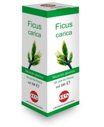 FICUS CARICA MG 100ML GTT